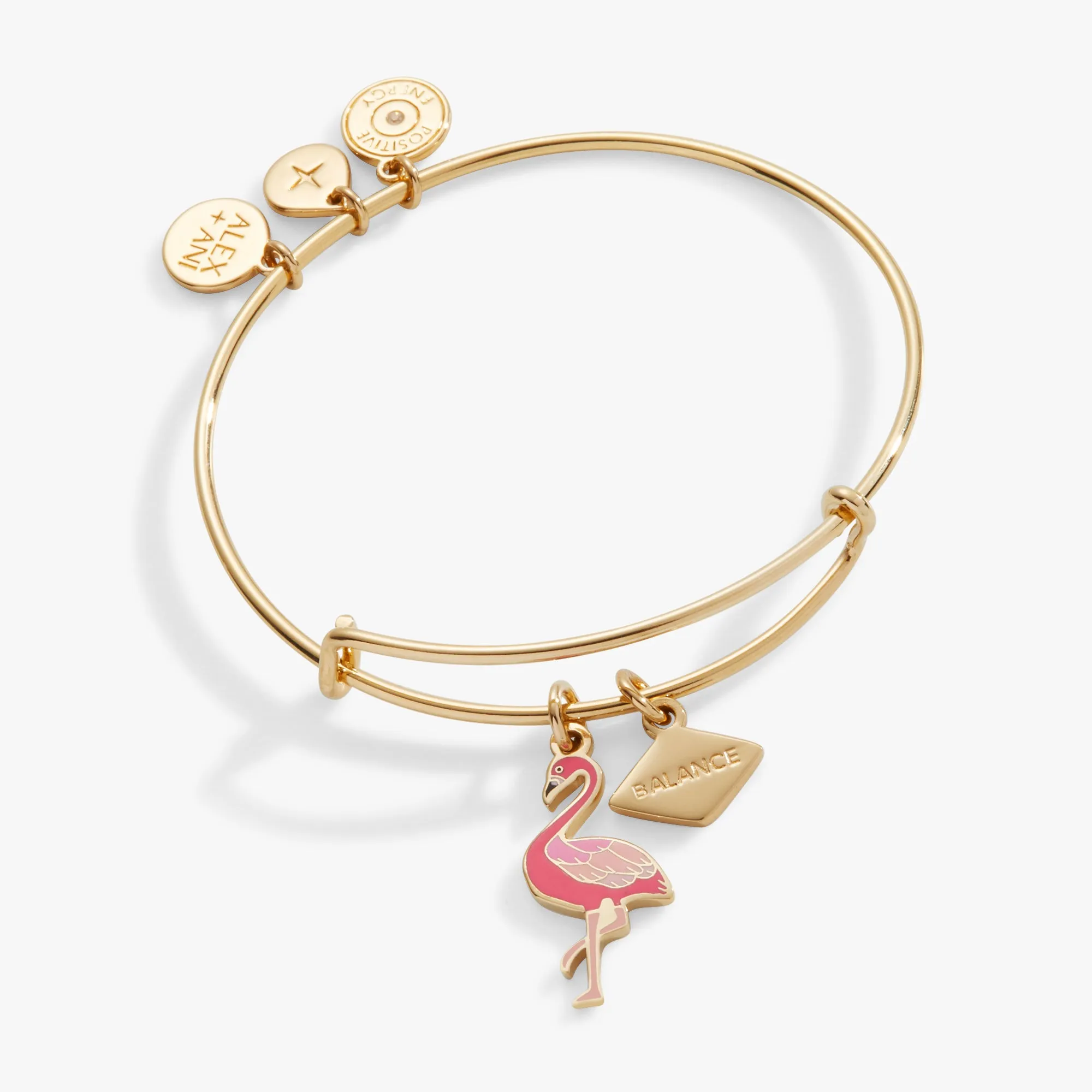 Balance Flamingo Duo Charm Bangle