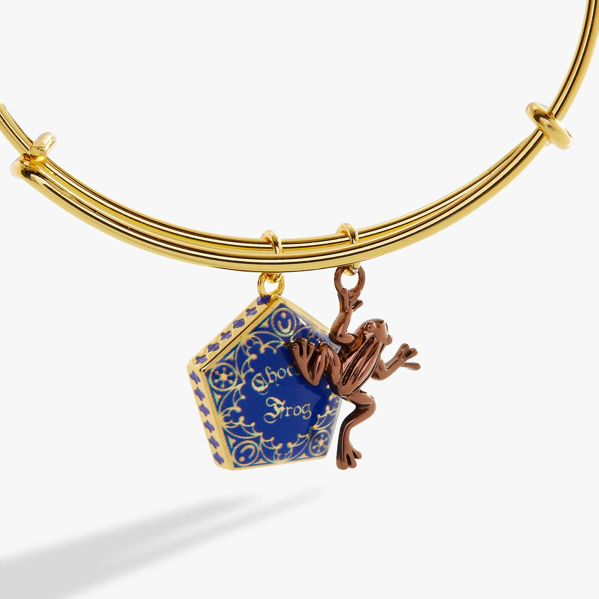 HARRY POTTER Chocolate Frog Two-Charm Bangle