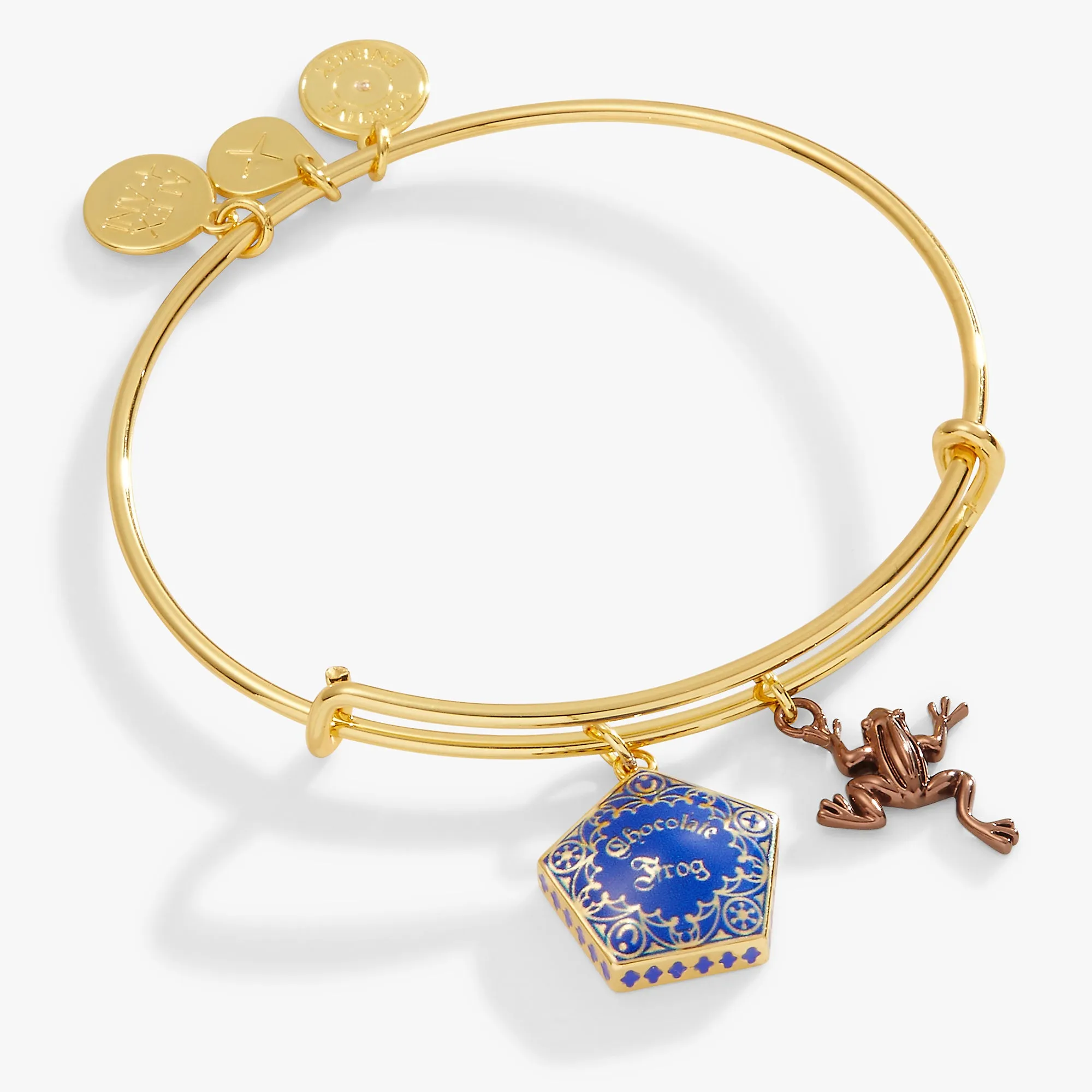 HARRY POTTER Chocolate Frog Two-Charm Bangle