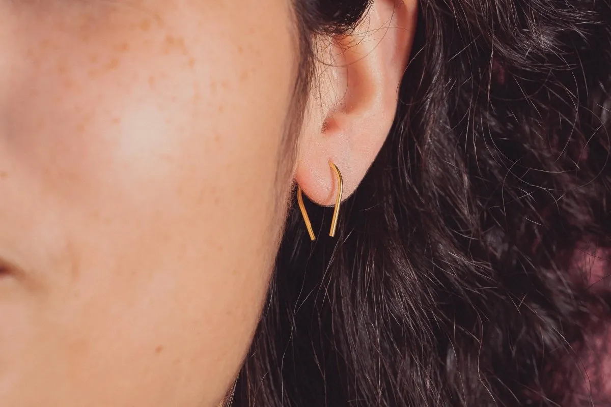 Tiny Horseshoe Pull Through Hoop Earrings